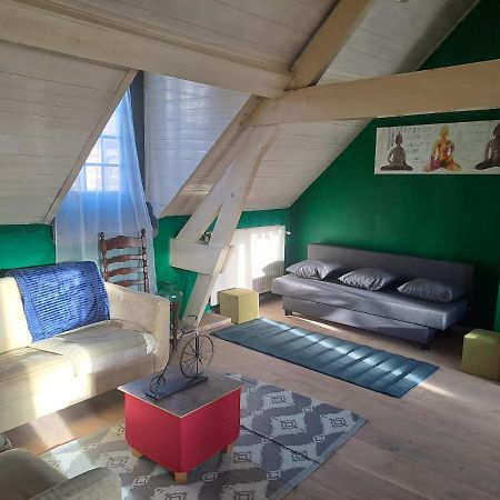 The Green Retromodern Duplex Leilighet Antwerpen Eksteriør bilde
